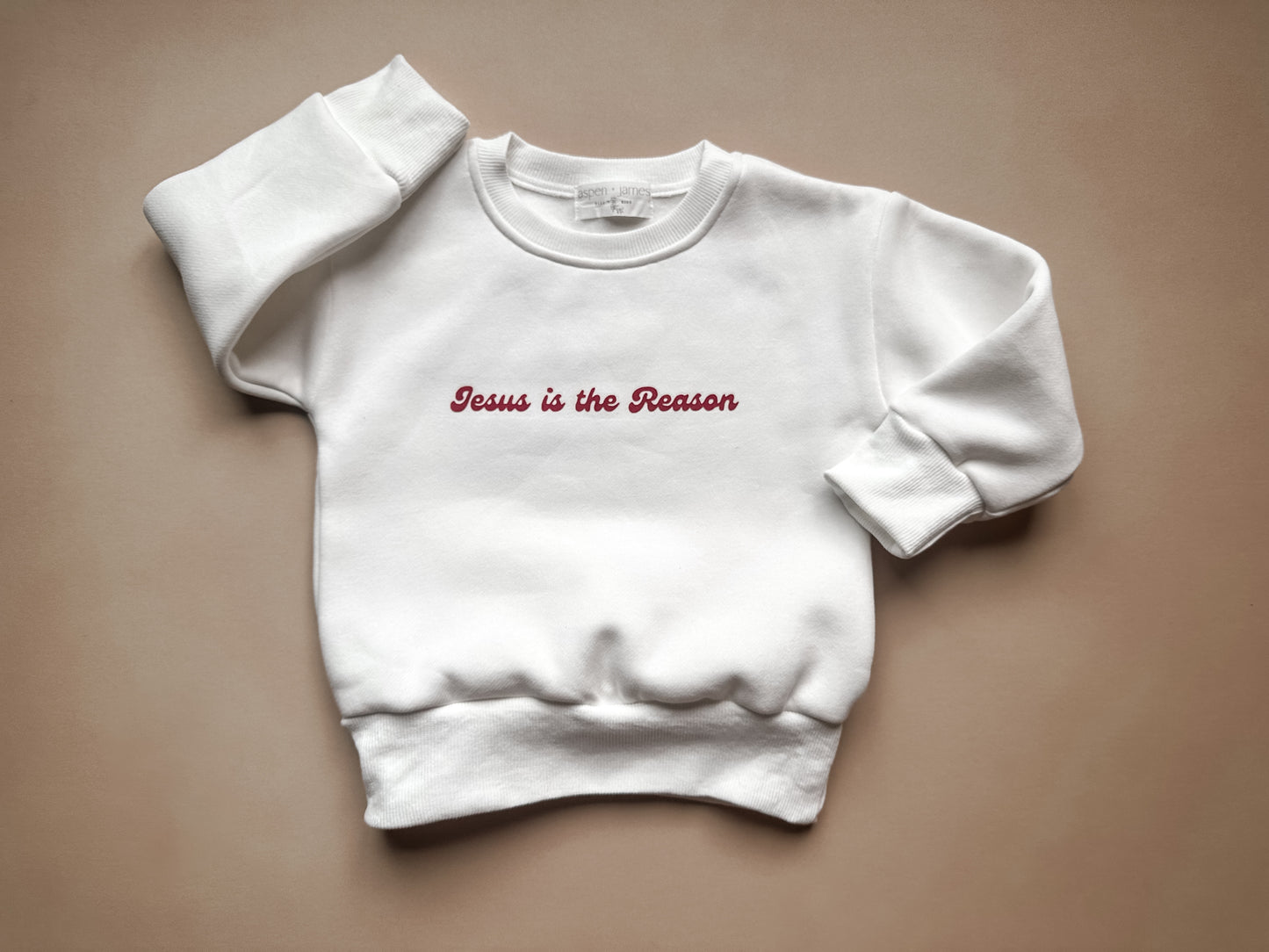 Jesus is the Reason - Sweatshirt