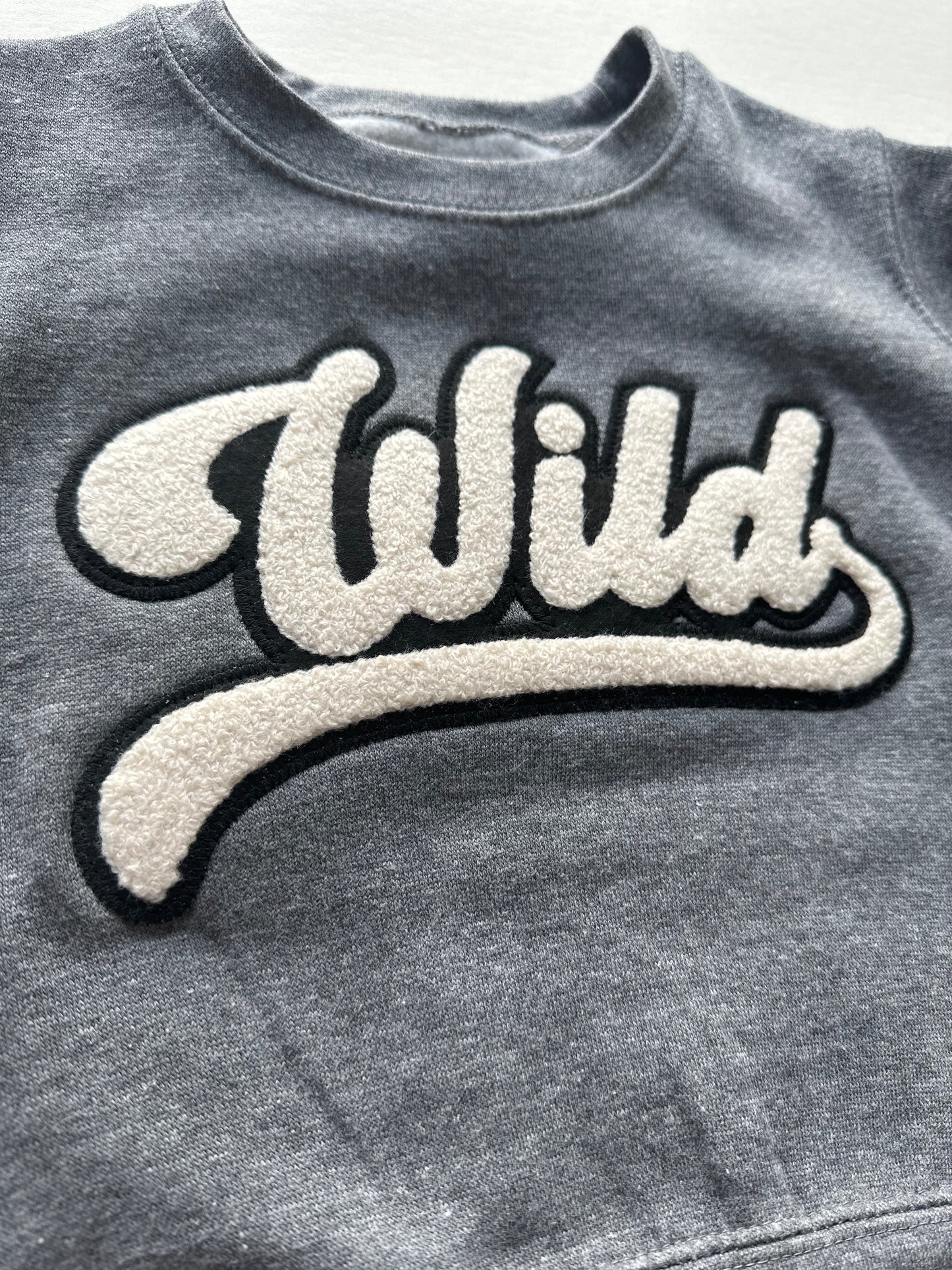 Wild Varsity Pullover Sweatshirt